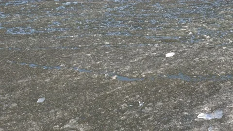 Melting ice during ice drift Stock Footage 168977307