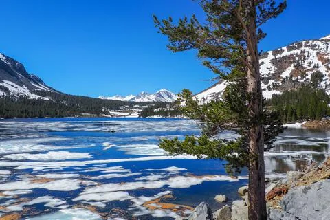 Melting ice floating on the surface of Tioga Lake, Yosemite National Park Stock Photos