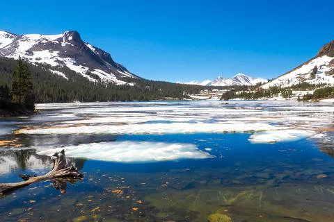 Melting ice floating on the surface of Tioga Lake, Yosemite National Park Stock Photos