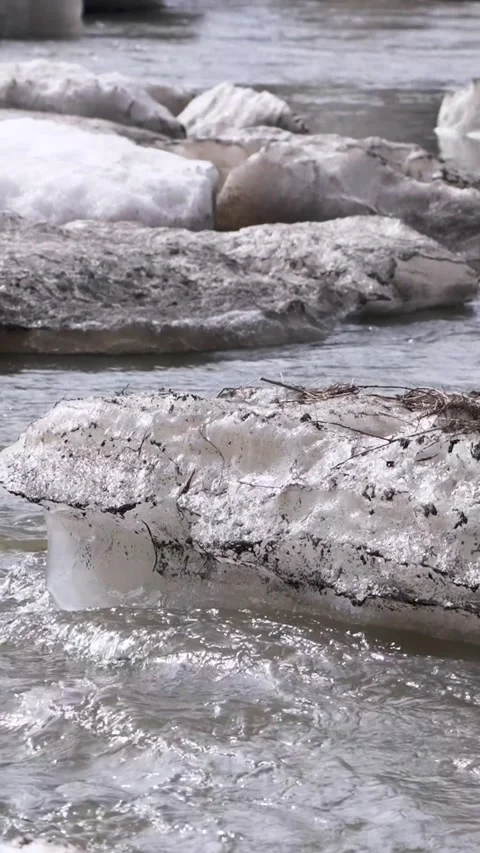 Melting ice floes and cold spring river current during breakup Video stock 334764883