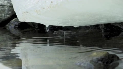 Melting ice. Stock Footage 194049767