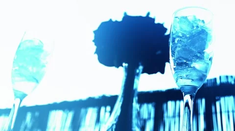 Melting Ice in glasses Stock Footage 3679048