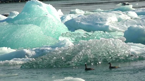 Melting ice Iceland  Stock Footage 81247495