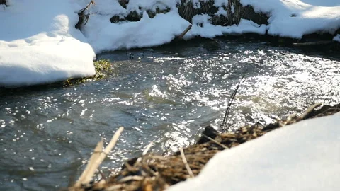 Melting ice on the river in the forest, white snow on the river banks Stock Footage 87737282