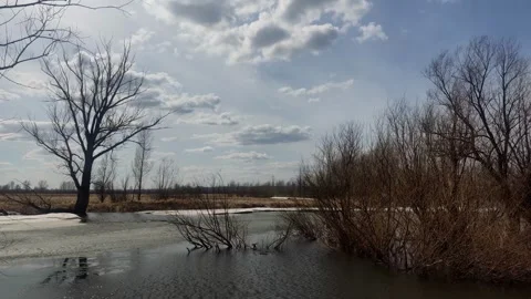 Melting ice on a river surrounded by dry spring landscape Stock Footage 333040857
