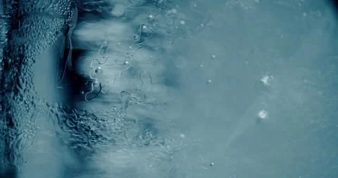 Melting Ice Under a Microscope 스톡 동영상 293811882