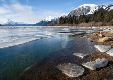 Melting Ice in Winter Stock Photos