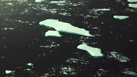 Melting icebergs float on dark water in an Arctic landscape during summer Stock Footage 340997863