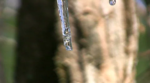 Melting icicle close up Stock Footage 362382