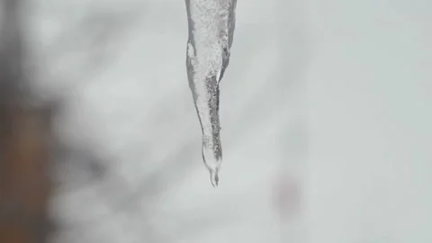 Melting Icicle Stock Footage 221718177