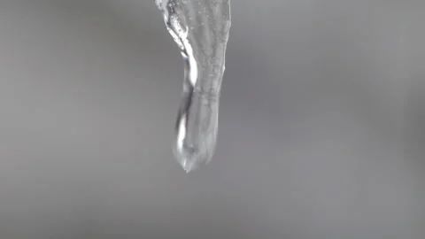 Melting Icicle Stock Footage 221718198