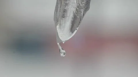 Melting Icicle Stock Footage 221718219