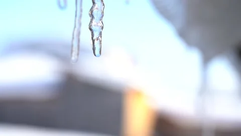 Melting Icicles on a Blue Background. Dripping Icicles on a Warm Bright Sunny Stock Footage 147872339