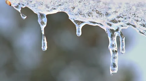 Melting Icicles with Bokeh Trees Swaying in Background Video stock 10785752