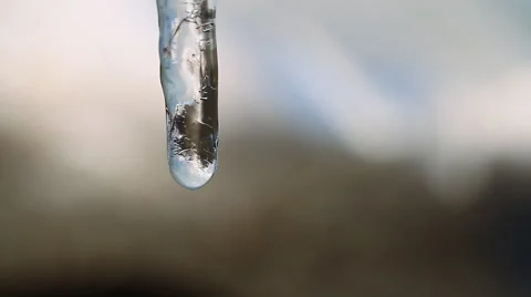 Melting Icicles. close up of drop Stock Footage 48903573