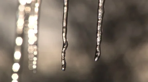 Melting icicles drip in the evening sun - Closeup Video stock 47726811