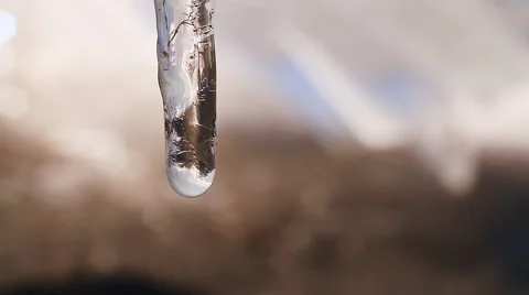 Melting Icicles. drops Stock Footage 48903821