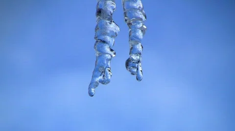 Melting icicles Stock Footage 634562