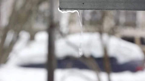 Melting Icicles Stock Footage 8834558