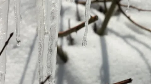 Melting Icicles Stock Footage 10594491