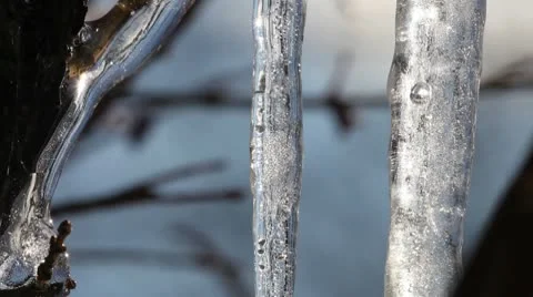Melting Icicles Vídeo Stock 10594539