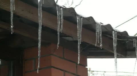 Melting icicles Vidéo 10804609