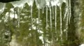 melting icicles Vídeos en HD