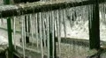 melting icicles HD Footage
