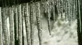 melting icicles HD Footage