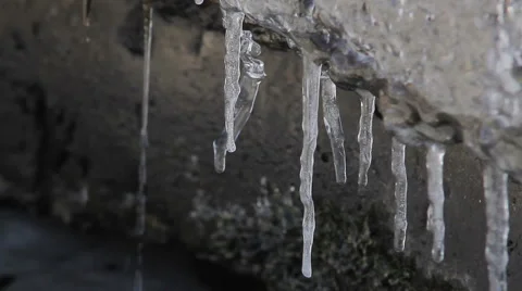 Melting icicles Stock Footage 48488857