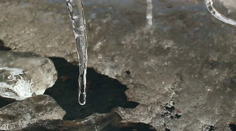 Melting Icicles. Stock Footage 48902863