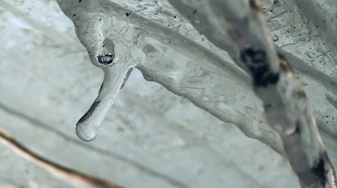 Melting Icicles. Stock Footage 48902875