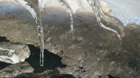 Melting Icicles. Stock Footage 48903010