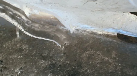 Melting Icicles. Stock Footage 48903252