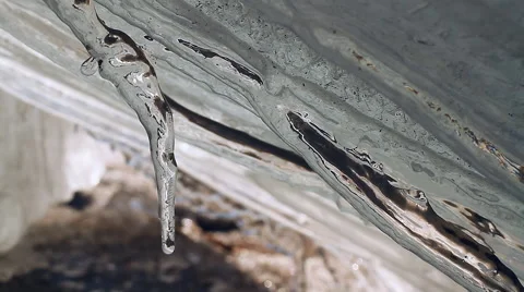 Melting Icicles. Stock Footage 48903949