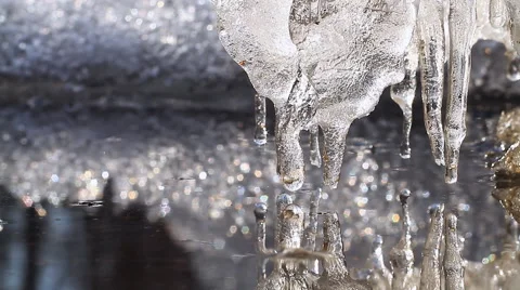 Melting Icicles. Stock-Footage 48904059