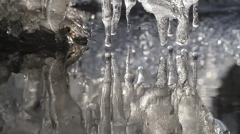 Melting Icicles. Stock Footage 48904950