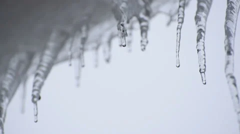 Melting Icicles Stock Footage 49109362