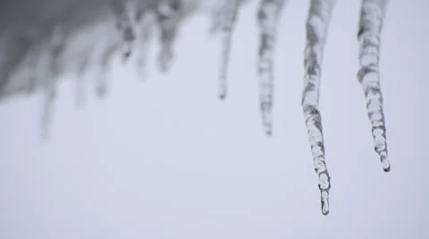 Melting Icicles Stock Footage 49109437