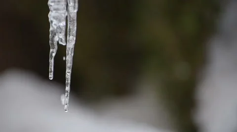 Melting Icicles Stock Footage 49109984
