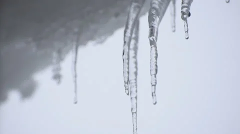 Melting Icicles Stock Footage 49110031