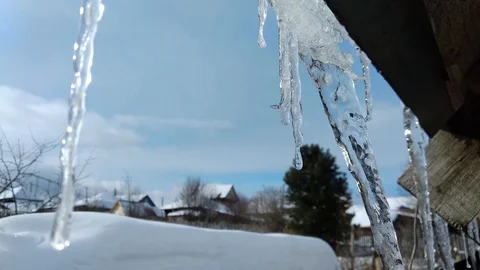 Melting icicles Stock Footage 87185534