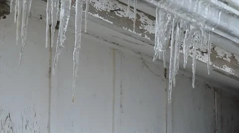 Melting Icicles full HD Stock Footage 20529892