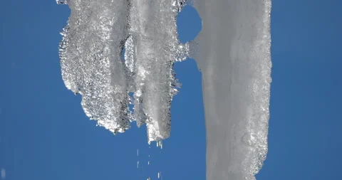 Melting icicles isolated against blue sky Stock Footage 264808452