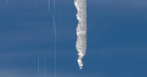 Melting icicles isolated against blue sky Stock Footage 264808971