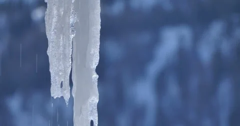 Melting icicles isolated against dark background. Stock Footage 264815665