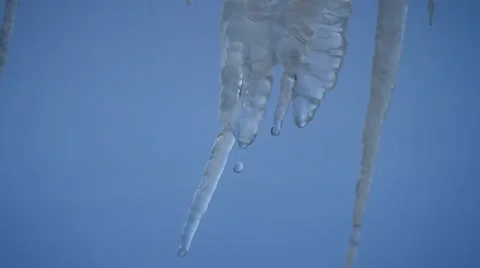 Melting icicles in Spring Stock Footage 50447386