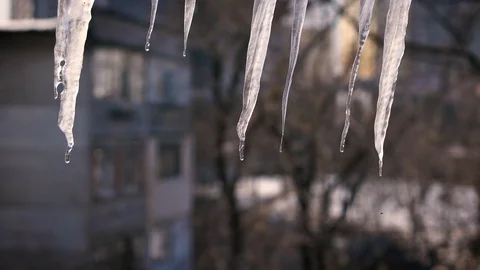 Melting icicles in the spring Stock Footage 86723961