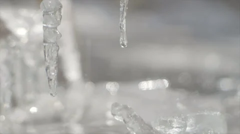 Melting Icicles With Water Drops falling down Stock Footage 36665444