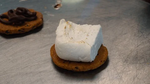 Melting Marshmallow Smore Stock Footage 86766051